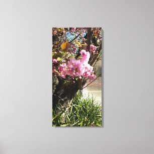 Lienzo Despertar de primavera, maravilla de flores