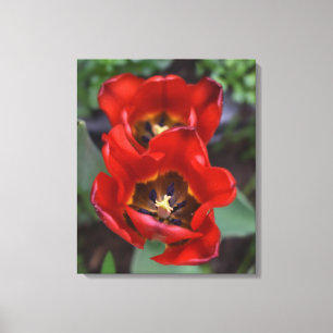 Lienzo Despertar de primavera, Tulipanes