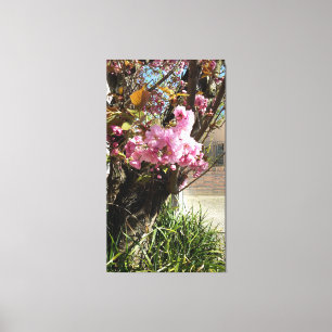 Lienzo Despertar la primavera, maravilla de las flores