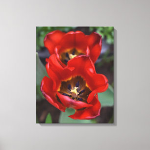 Lienzo Despertar la primavera, Tulips