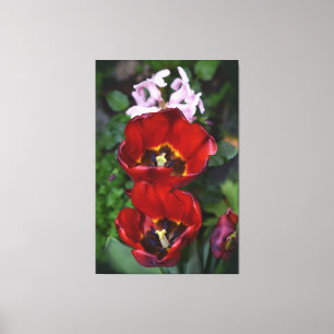 Lienzo Despertar la primavera, Tulips