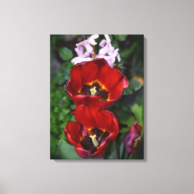 Lienzo Despertar la primavera, Tulips (Anverso)
