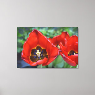 Lienzo Despertar la primavera, Tulips