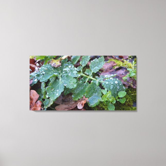 Lienzo Despertar primavera, días lluviosos (Anverso)