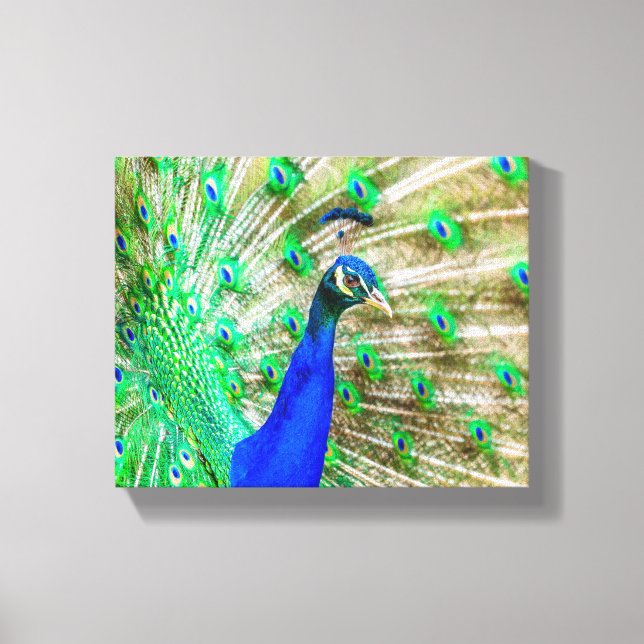 Lienzo Desplome de pavo real (Anverso)