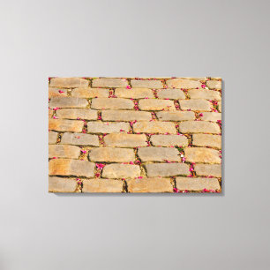 Lienzo Detalle de escalada de cemento