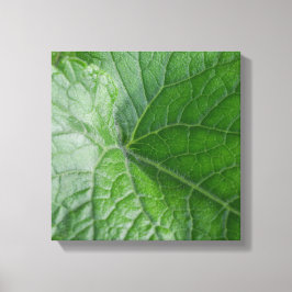 Lienzo Detalle de la hoja verde