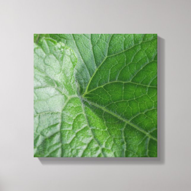 Lienzo Detalle de la hoja verde (Anverso)