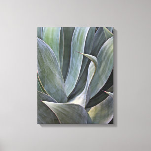 Lienzo Detalle descolorado de Succulant, 2017