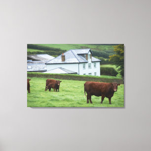 Lienzo Devon, Inglaterra