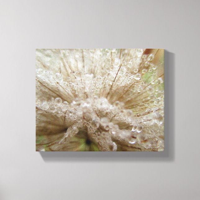 Lienzo Dewdrop Seed Puff (Anverso)