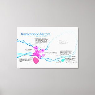 Lienzo Diagrama de factores de transcripción génica de cé