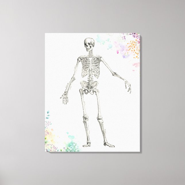 Lienzo Diagrama de flores de esqueleto de anatomía médica (Anverso)