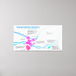 Lienzo Diagrama de los factores de transcripción génica