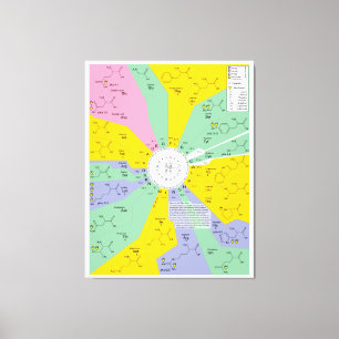 Lienzo Diagrama del código genético que muestra residuo