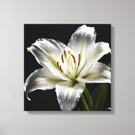 Lienzo Diamond Dust Lily