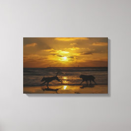 Lienzo Días de perro al sol