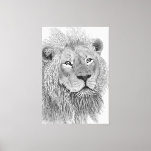 Lienzo Dibujo a lápiz de león africano macho
