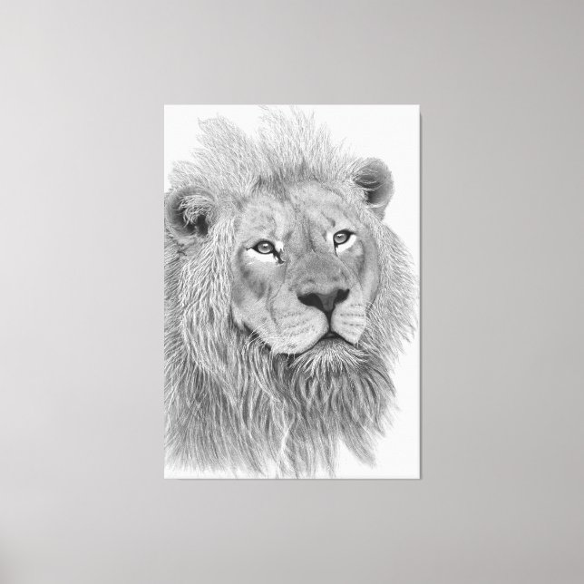 Lienzo Dibujo a lápiz de león africano macho (Anverso)