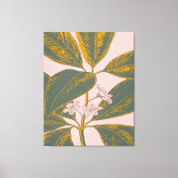 Dibujo botánico del borde de la palmera rosa y ver