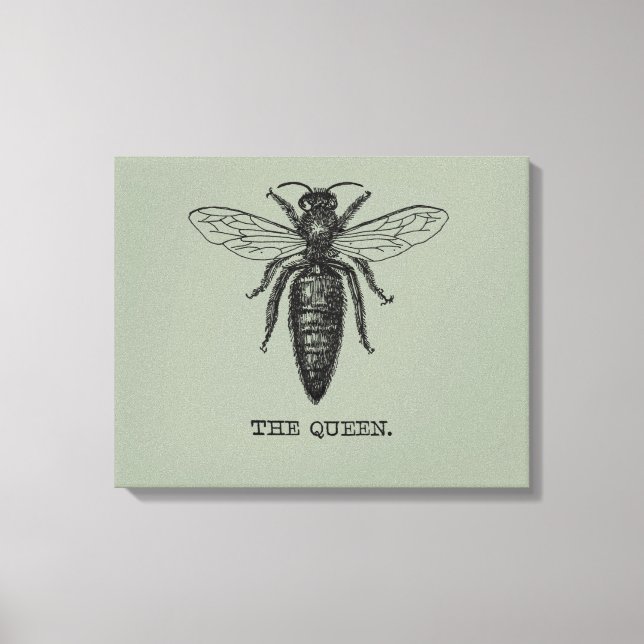 Lienzo Dibujo clásico del Ilustracion Queen Bee (Anverso)