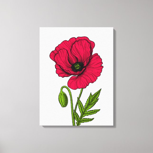 Lienzo Dibujo de amapola roja (Anverso)