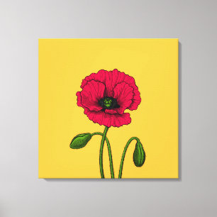 Lienzo Dibujo de amapola roja