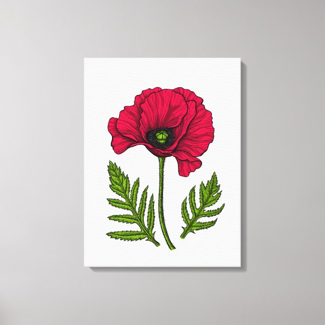 Lienzo Dibujo de amapola roja 3 (Anverso)