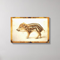 Dibujo de animales de PIGLET WILBOAR