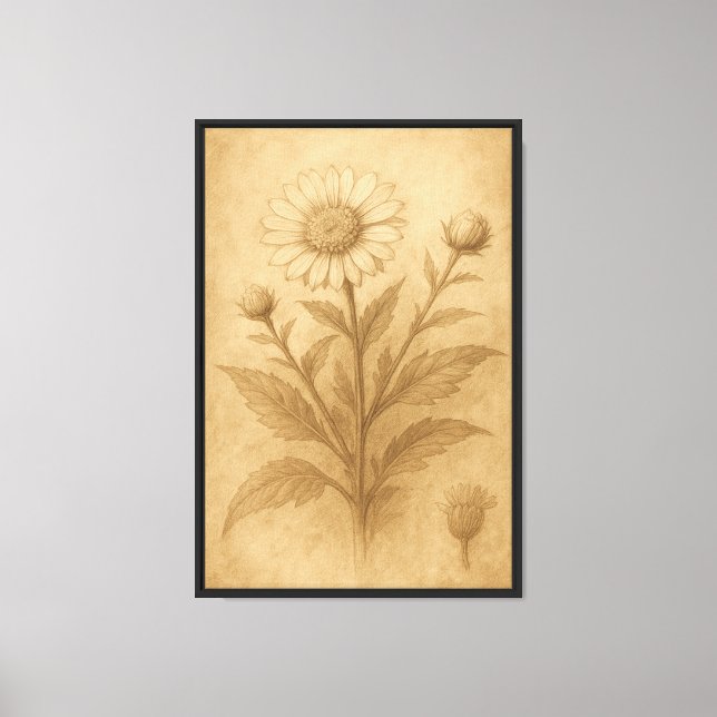 Lienzo Dibujo de flores botánicas vintage (Anverso)