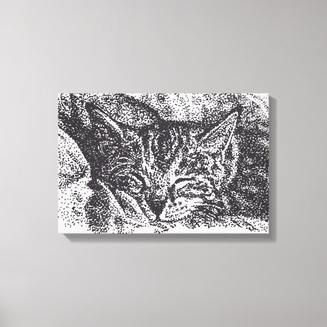 Lienzo Dibujo de gatos de duración corta (Anverso)