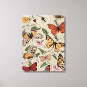 Lienzo Dibujo de la Colección de Mariposas y Polillas de 
