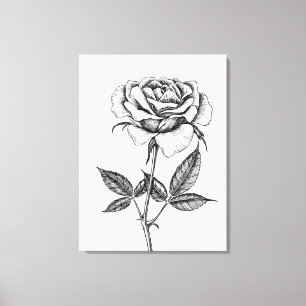 Lienzo Dibujo de rosa