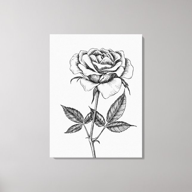 Lienzo Dibujo de rosa (Anverso)