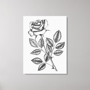 Lienzo Dibujo de rosa 2