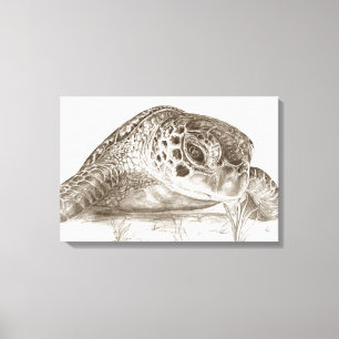 Lienzo Dibujo de Tortuga Marina Verde