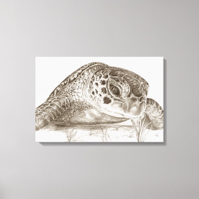 Lienzo Dibujo de Tortuga Marina Verde (Anverso)