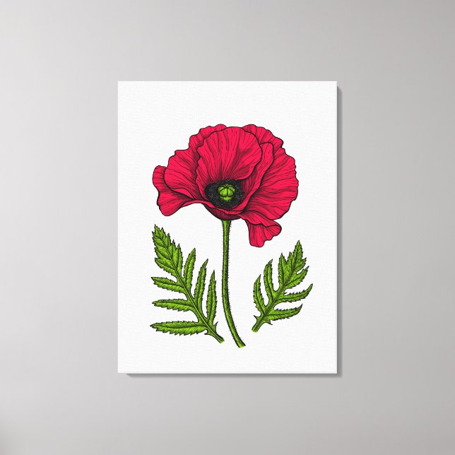 Lienzo Dibujo rojo de amapola 3 (Anverso)