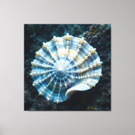 Lienzo Die Schatzmuschel – Verborgene Perlen 