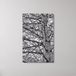 Lienzo Dirección de los Pinos