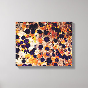 Lienzo Diseño abstracto moderno de My Daisies