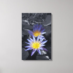 Lienzo Diseño Botánico Floral de Nenúfar Tropical