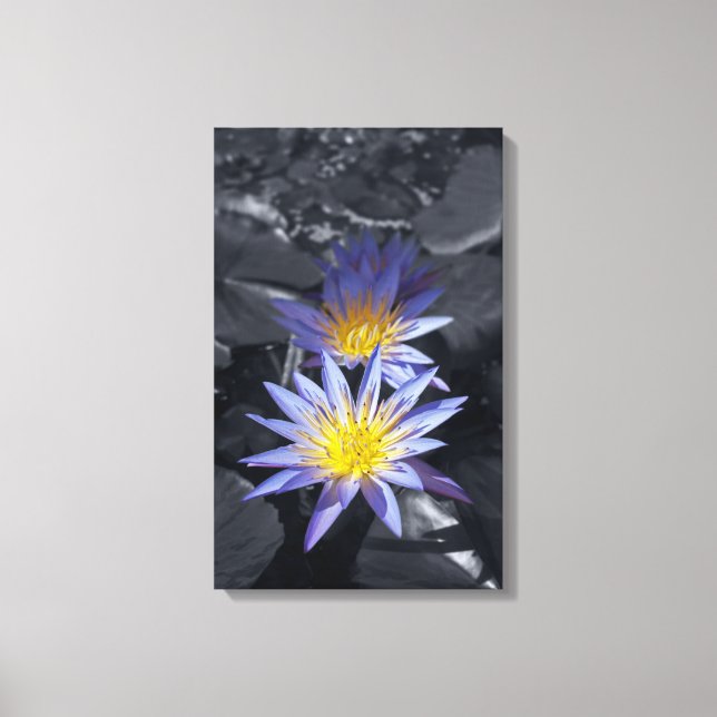 Lienzo Diseño Botánico Floral de Nenúfar Tropical (Anverso)