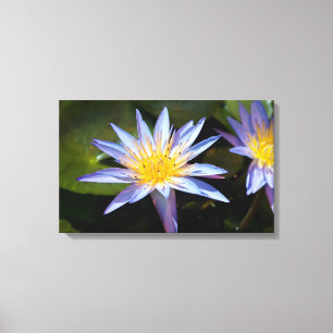 Lienzo Diseño Botánico Floral de Nenúfar Tropical