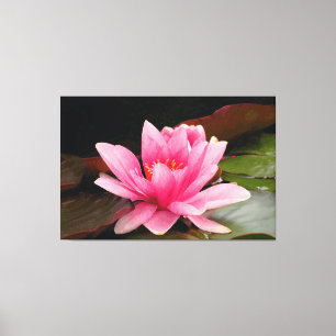 Lienzo Diseño Botánico Floral de Nenúfar Tropical