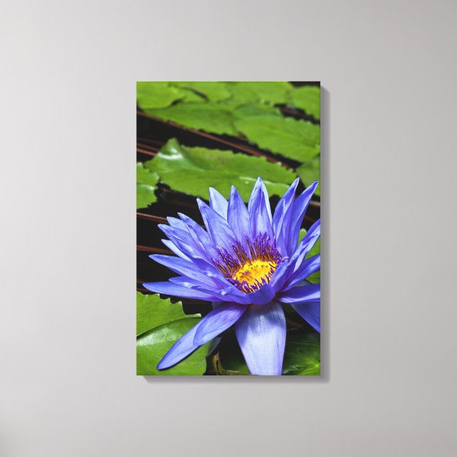 Lienzo Diseño Botánico Floral de Nenúfar Tropical (Anverso)