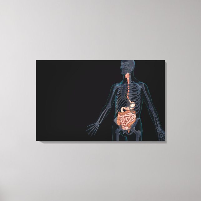 Lienzo Diseño del sistema digestivo humano (Anverso)
