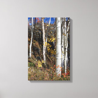Lienzo Diseños de Aspen de Colorado