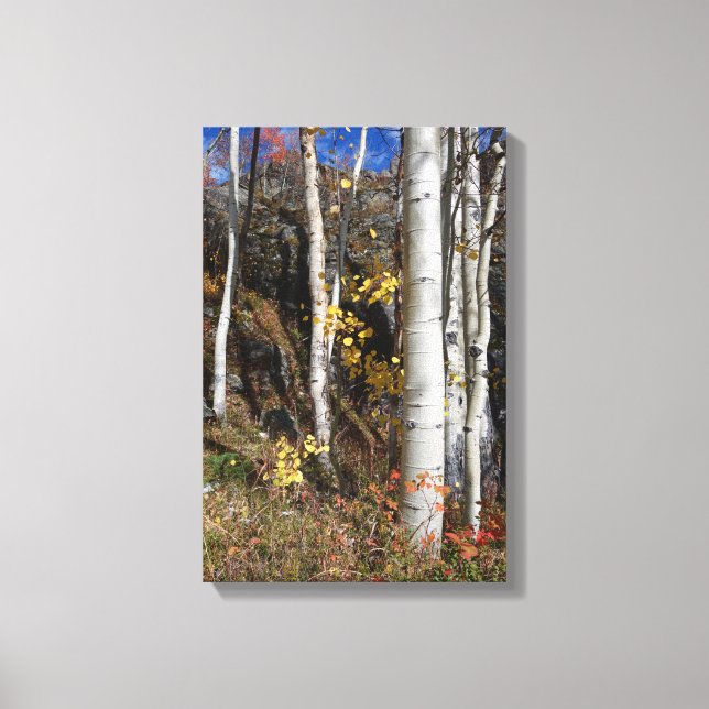 Lienzo Diseños de Aspen de Colorado (Anverso)