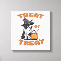 Disfraz de perro de Halloween Border Collie �Dulce